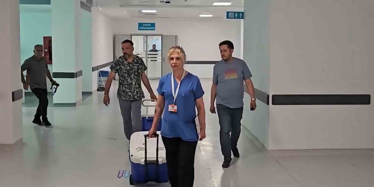 Doç. Dr. Kaçmaz: "organ Bağışında Canlı Nakilde Dünya Lideri, Kadavrada Gerideyiz "