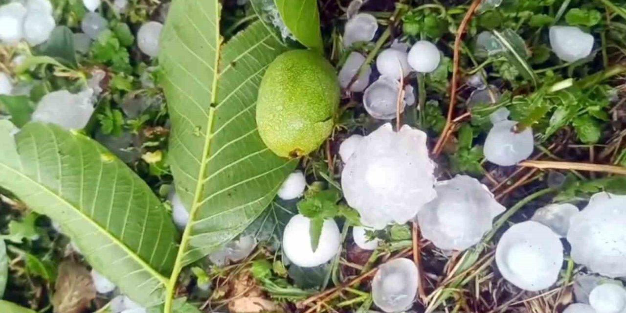 Mersin’de Şiddetli Dolu Yağışı Etkili Oldu