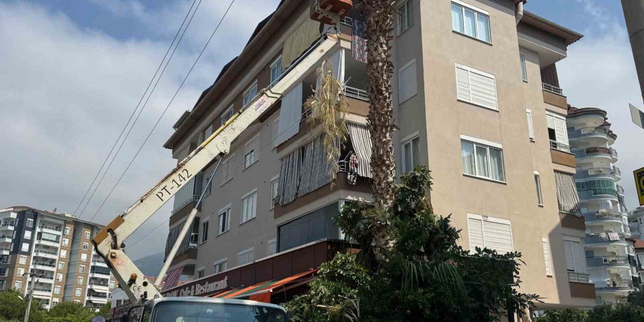 Alanya Belediyesi Ve Aedaş’dan Yangın Riskine Karşı Önlem