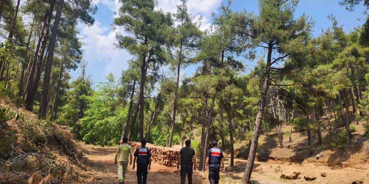Mersin Jandarmasından Ormanlara Sıkı Koruma