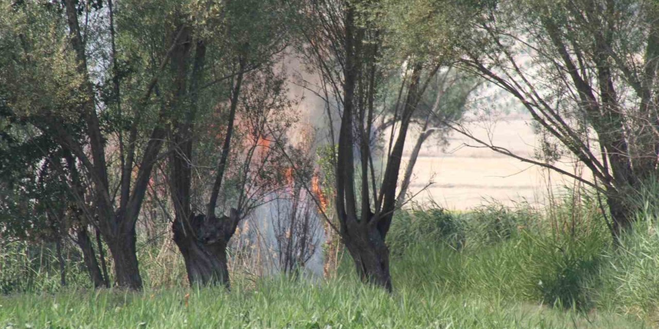 Beyşehir’de Biçerdöverde Yangın Paniği