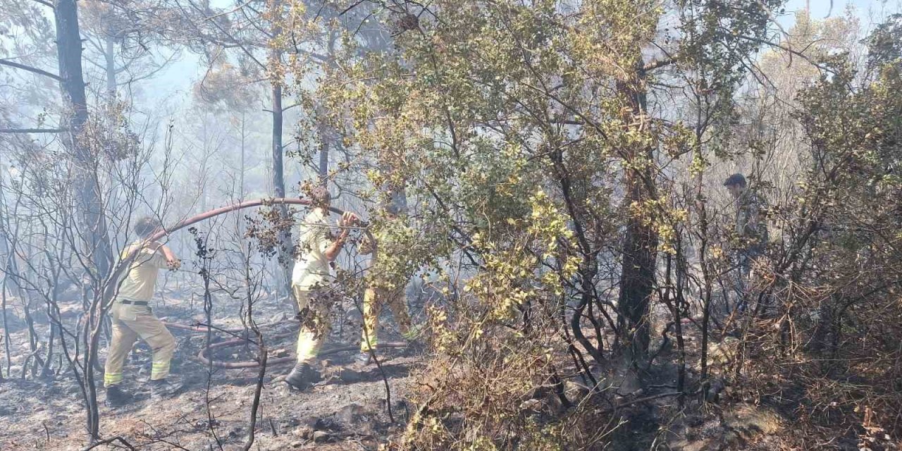 Antalya’daki Orman Yangınında 2,8 Hektarlık Alan Zarar Gördü