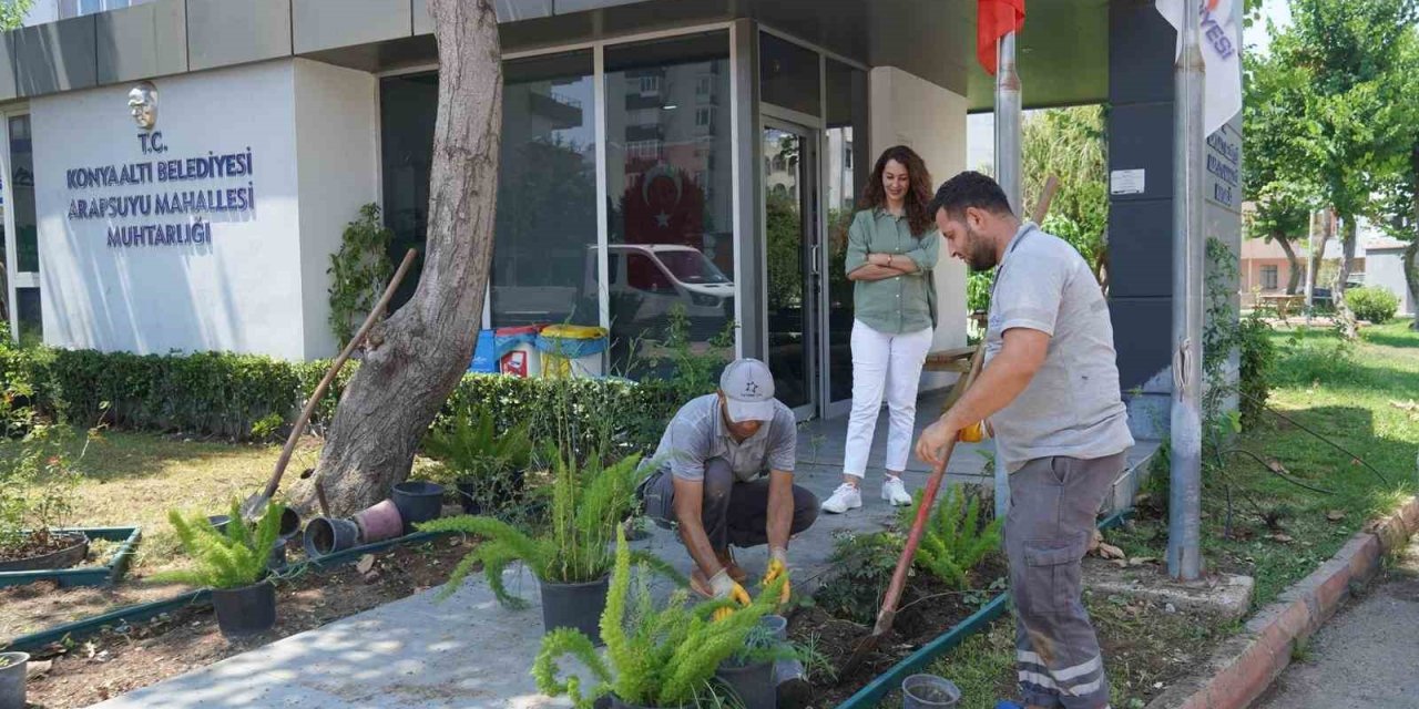 Konyaaltı’nda Muhtarlık Binaları Çiçeklendiriliyor
