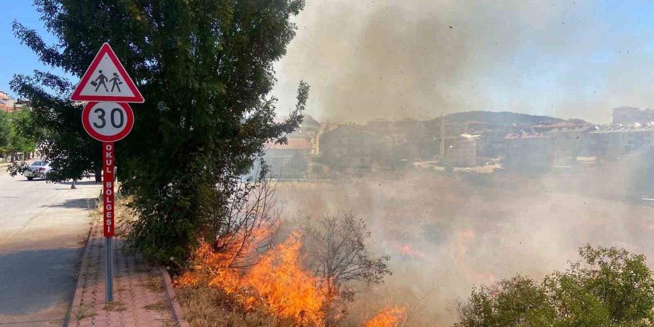 Beyşehir’de Alevler Bahçelere Ulaşmadan Söndürüldü