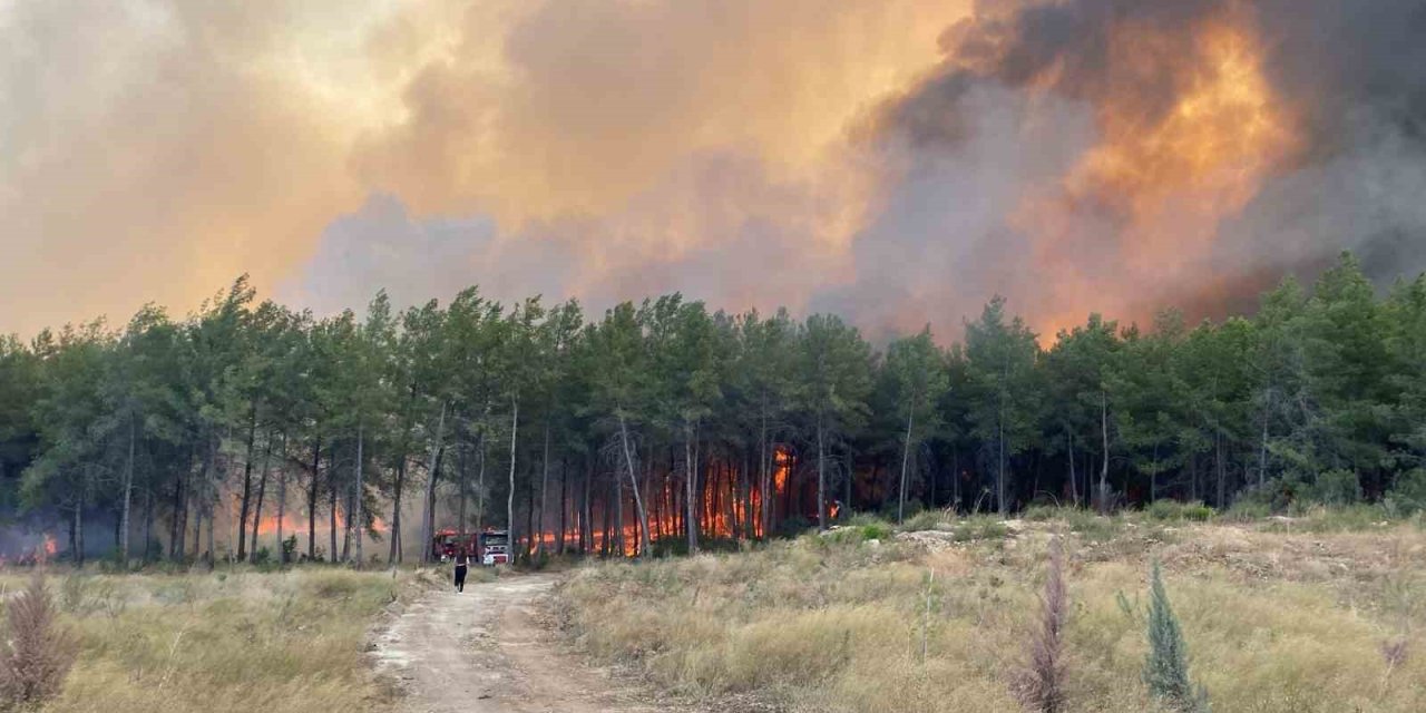 Antalya’da Orman Yangını
