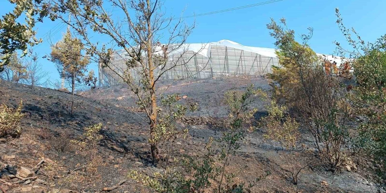 Alanya’da Makilik Alanda Çıkan Yangın Kısa Sürede Kontrol Altına Alındı
