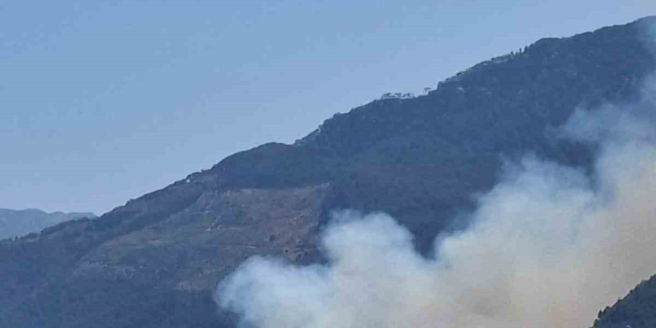 Gazipaşa’da Ormanlık Alanda Yangın