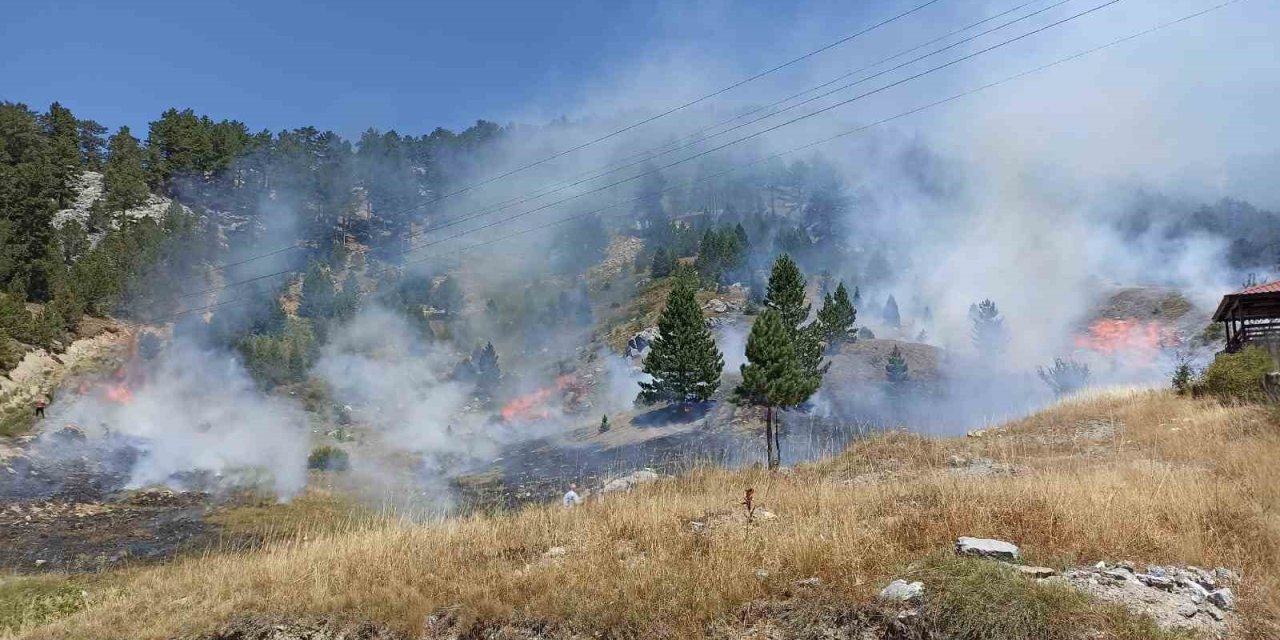 Antalya’da Orman Yangını