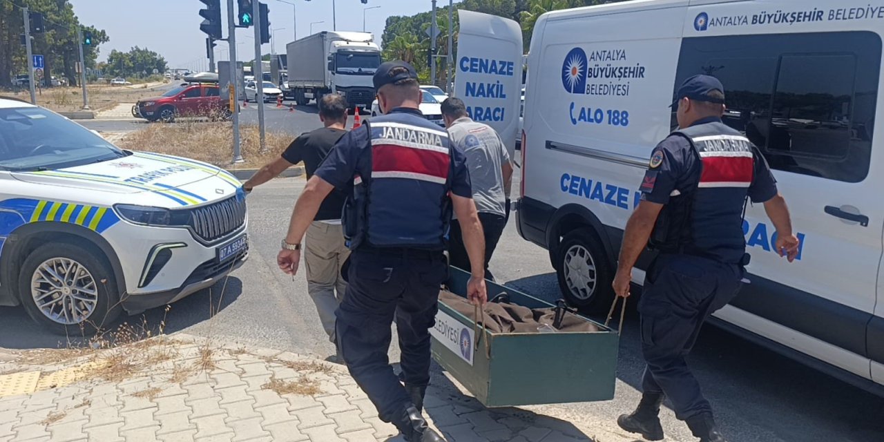 Kanserle Savaşını Kazandı, Trafikte Hayatını Kaybetti