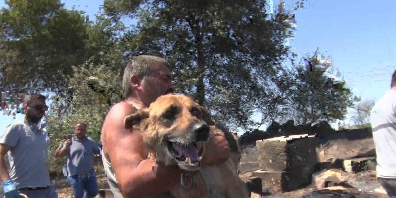 Aksu’da Yürek Yakan Yangında Evler Hasar Gördü, Hayvanlar Telef Oldu