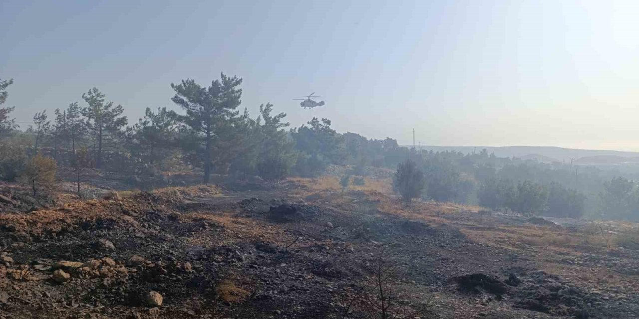 Mersin’deki Orman Yangını: Havadan Müdahale Başladı