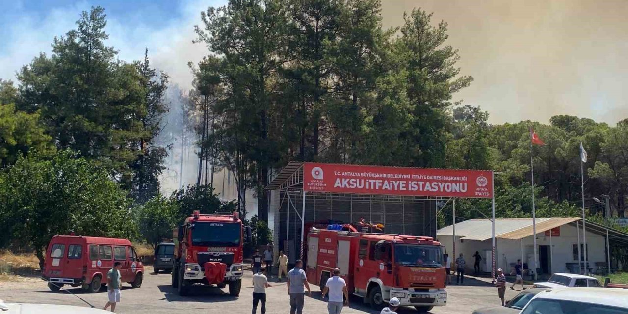 Antalya’da Ormanlık Alanda Yangın Paniği