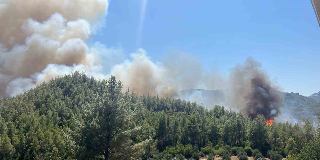 Serik’te Orman Yangını