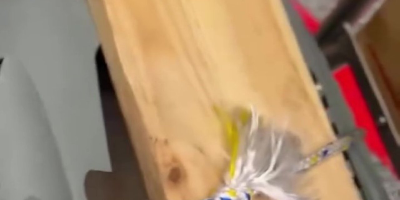 Uçağın Kargo Bölümüne Verdiği Evcil Hayvanlarını Teslim Alınca Çılgına Döndü