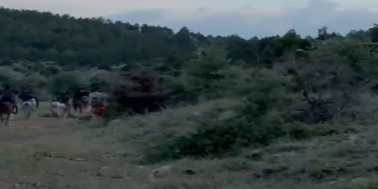 At Kazası Sonrası Genç Kadın Yaşam Mücadelesi Veriyor