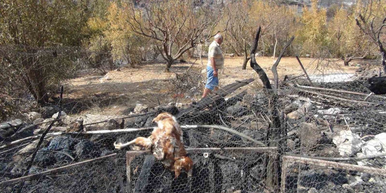 Silifke’deki Orman Yangını Büyük Ölçüde Kontrol Altına Alındı