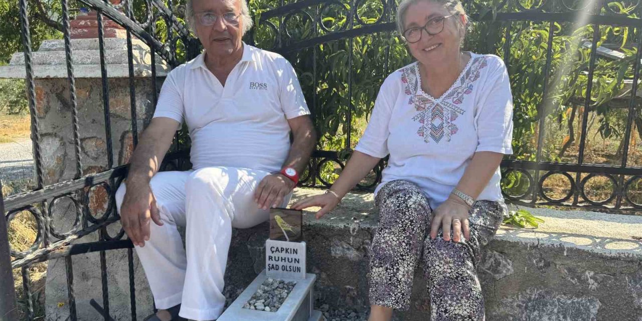 Ölen Muhabbet Kuşu İçin Mermerden Mezar Yapıp Gömdüler
