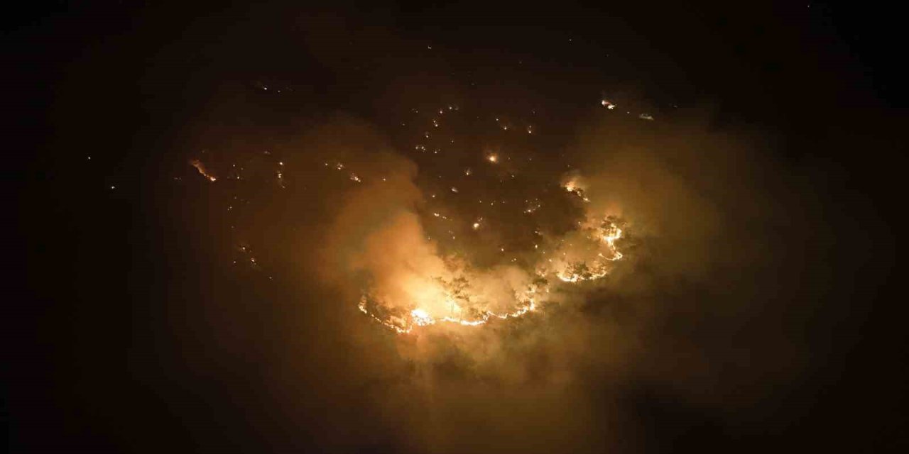 Silifke’deki Orman Yangını Söndürüldü, Hasar Tespit Çalışmaları Başladı