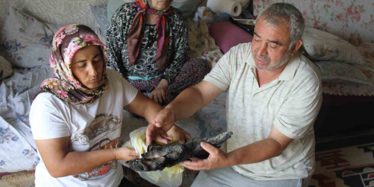 Yangında Depoda Sakladıkları 90 Bin Tl Kül Olan Aile Merkez Bankası’na Başvurdu