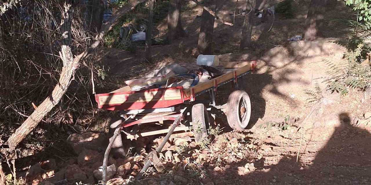 Karaman’da At Arabası Şarampole Yuvarlandı: 4 Yaralı