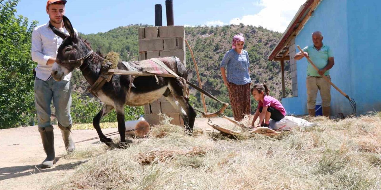 Konya’da Geleneksel Düvenle Saman Üretimi Sürdürülüyor