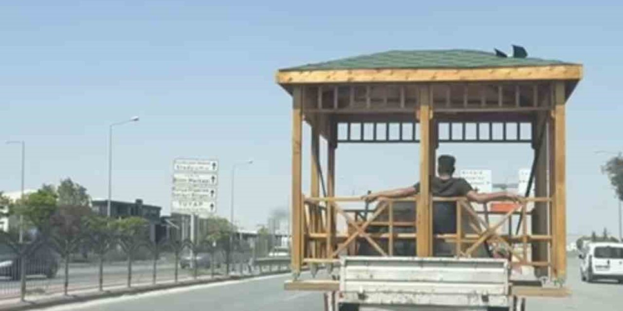 Kamyonet Kasasında Kamelya Keyfi