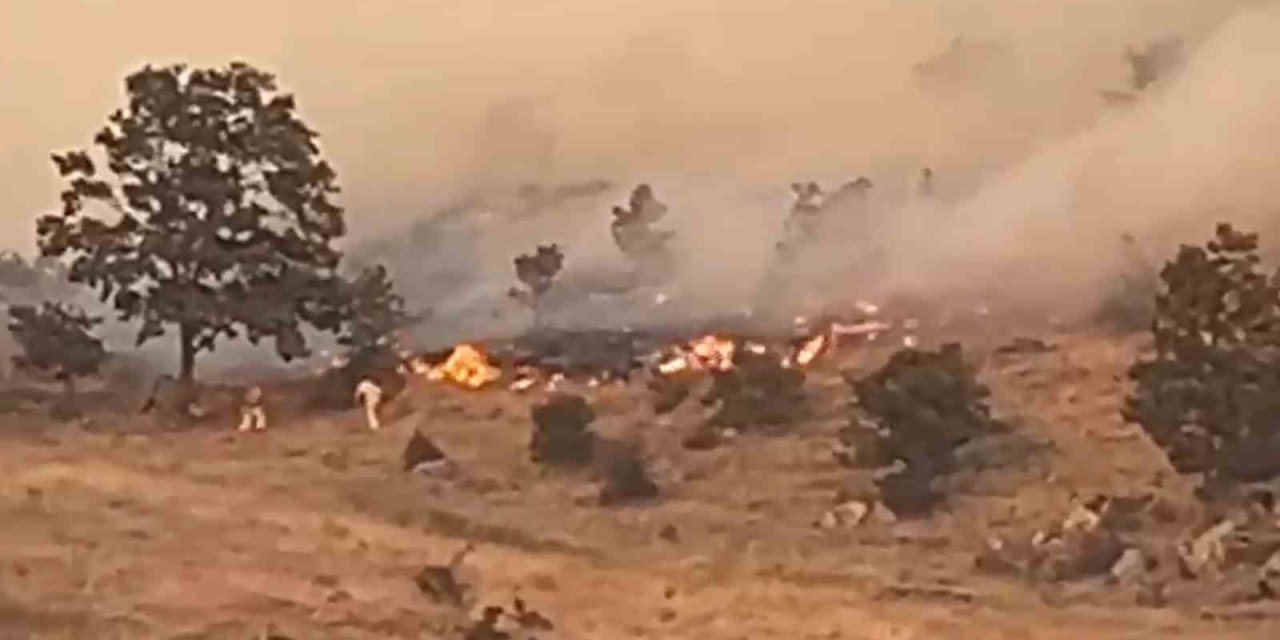 Aksaray’da Ağaçlık Alanda Yangın