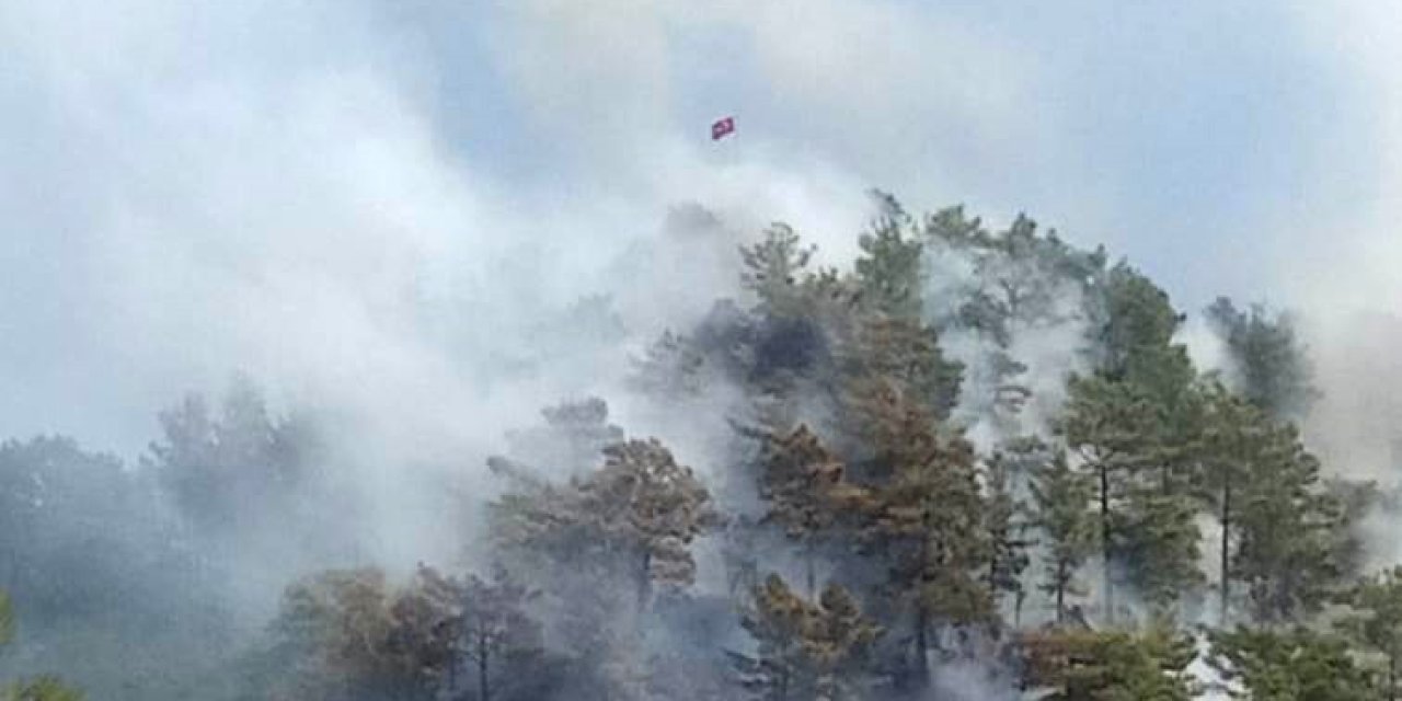 Anamur’da Orman Yangını