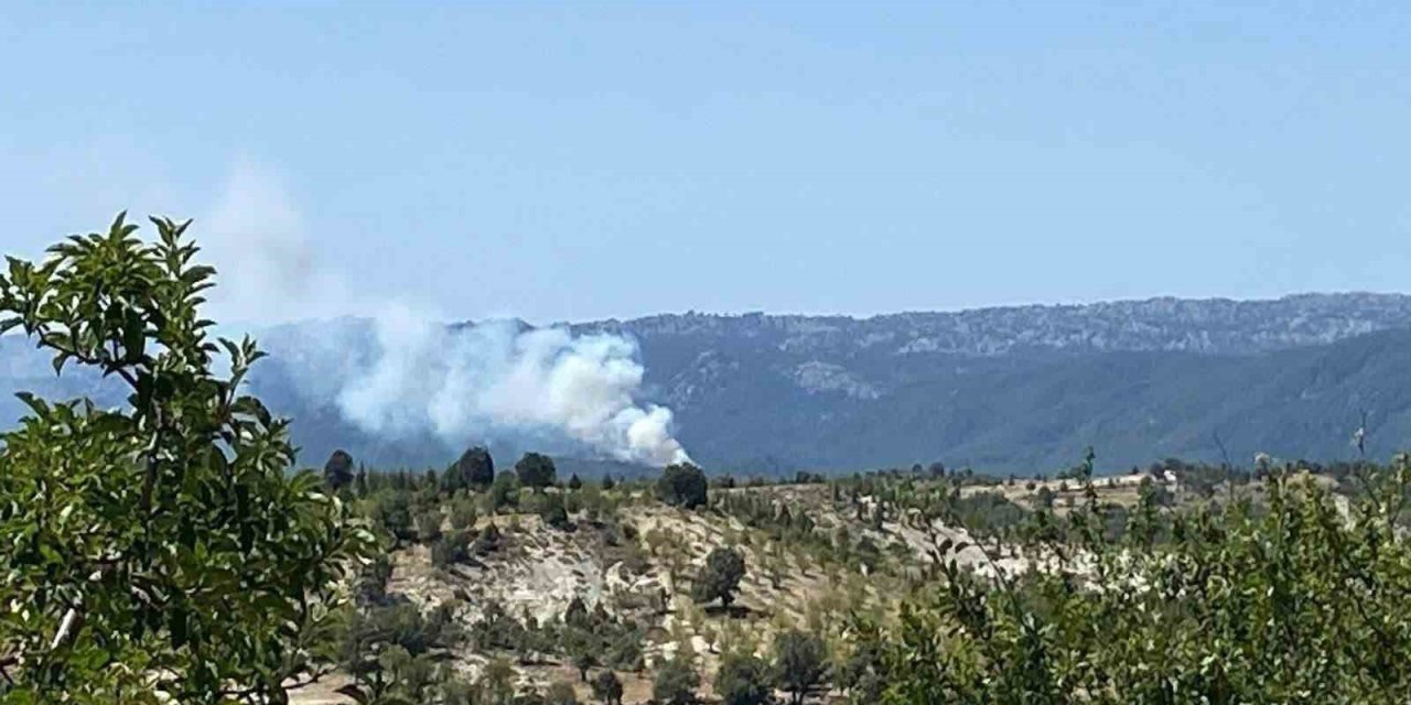 Bozyazı’da Orman Yangını