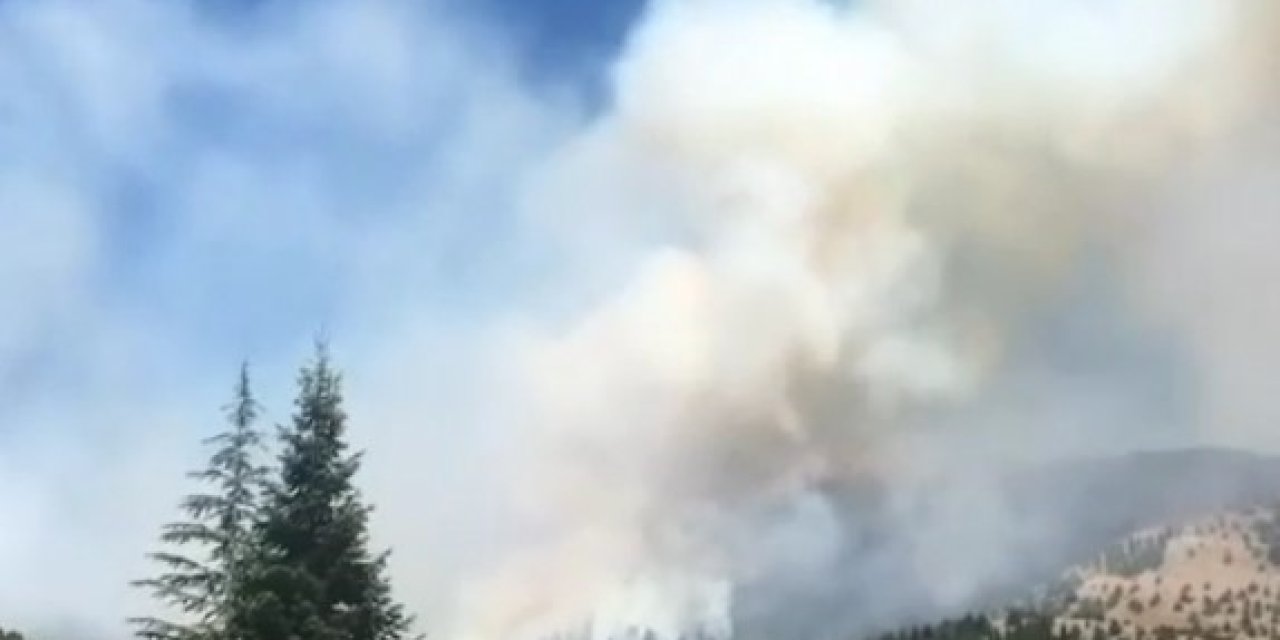 Kahramanmaraş’ta Orman Yangını