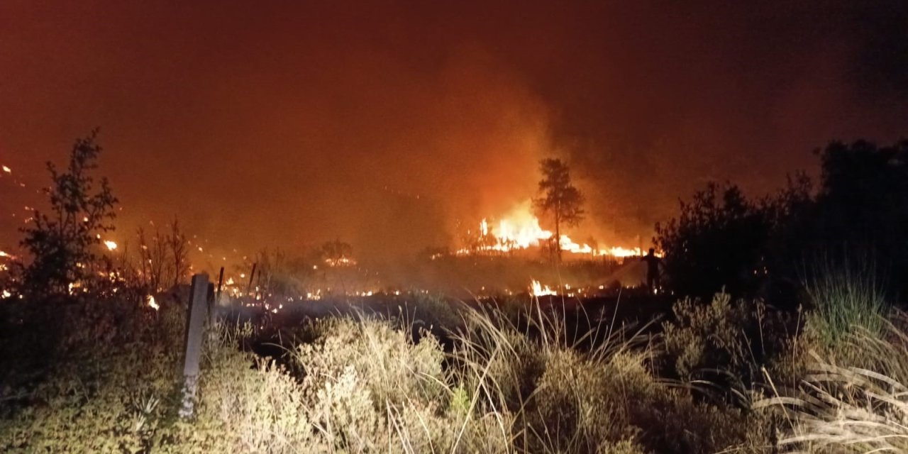 Serik’te Tarım Arazisinden Ormana Sıçrayan Yangın 5 Saatte Söndürüldü