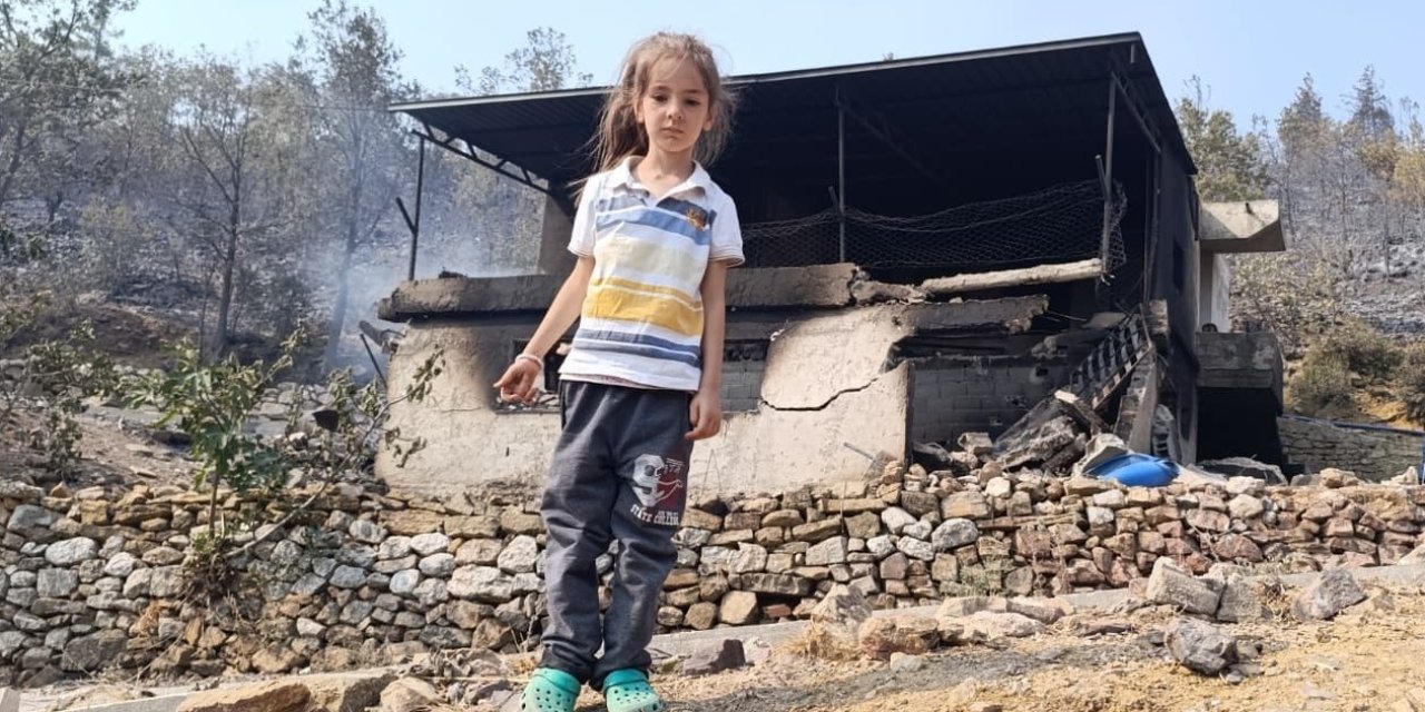 Mersin’de Orman Yangınında Evler Yandı, Hayvanlar Telef Oldu