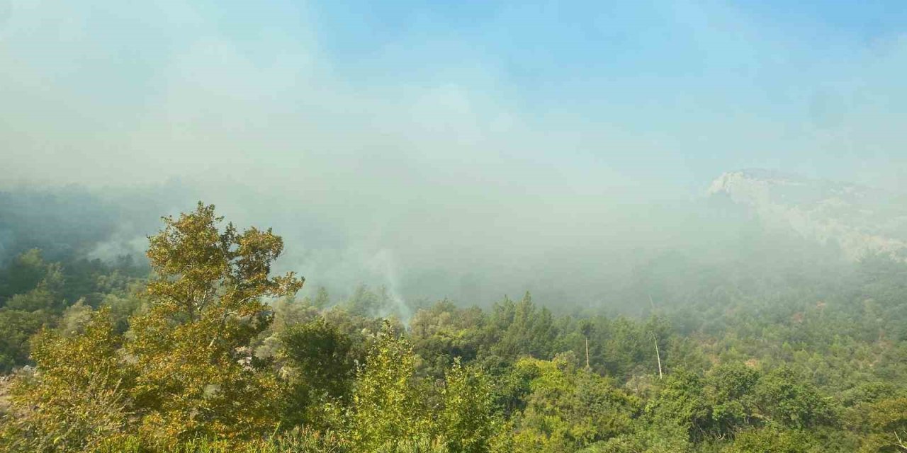 Mersin Anamur’daki Orman Yangını Sürüyor, Ekipler Havadan Ve Karadan Müdahale Ediyor