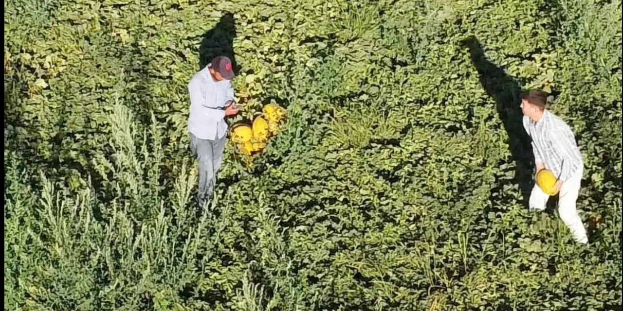 Aksaray’ın Kavun Ve Karpuzu Lezzetiyle İlgi Görüyor