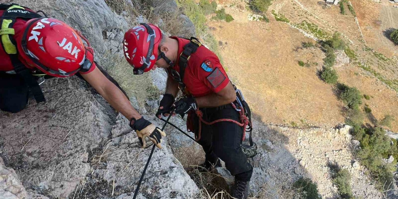 Serik’te Uçurumda 3 Gündür Mahsur Kalan Keçi, Ekipler Tarafından Kurtarıldı