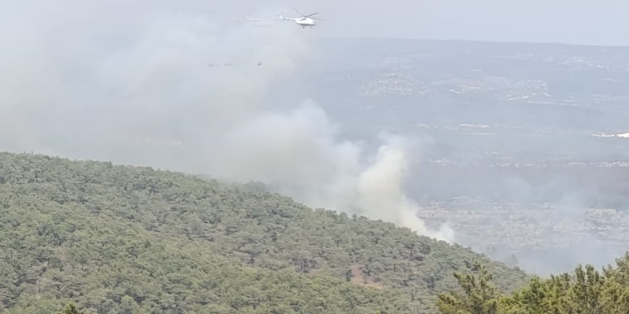 Mersin’de Kaynak Yaparken Orman Yangınına Neden Olan Firma Sahibi İle 4 Kişi Tutuklandı