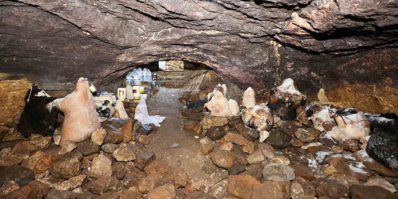 Tulum Peynirinin Mağaradaki Lezzet Yolculuğu Devam Ediyor