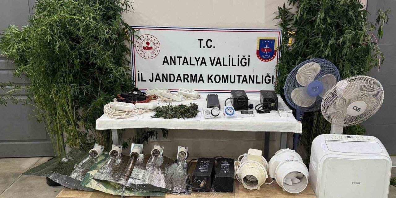 Evini Uyuşturucu Serasına Çevirdi, Kaçamadı