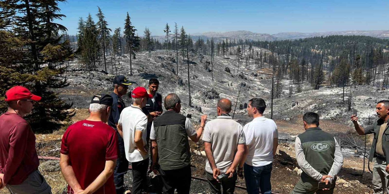 Vali Mehmet Fatih Çiçekli: "yangın Tamamen Kontrol Altına Alındı"