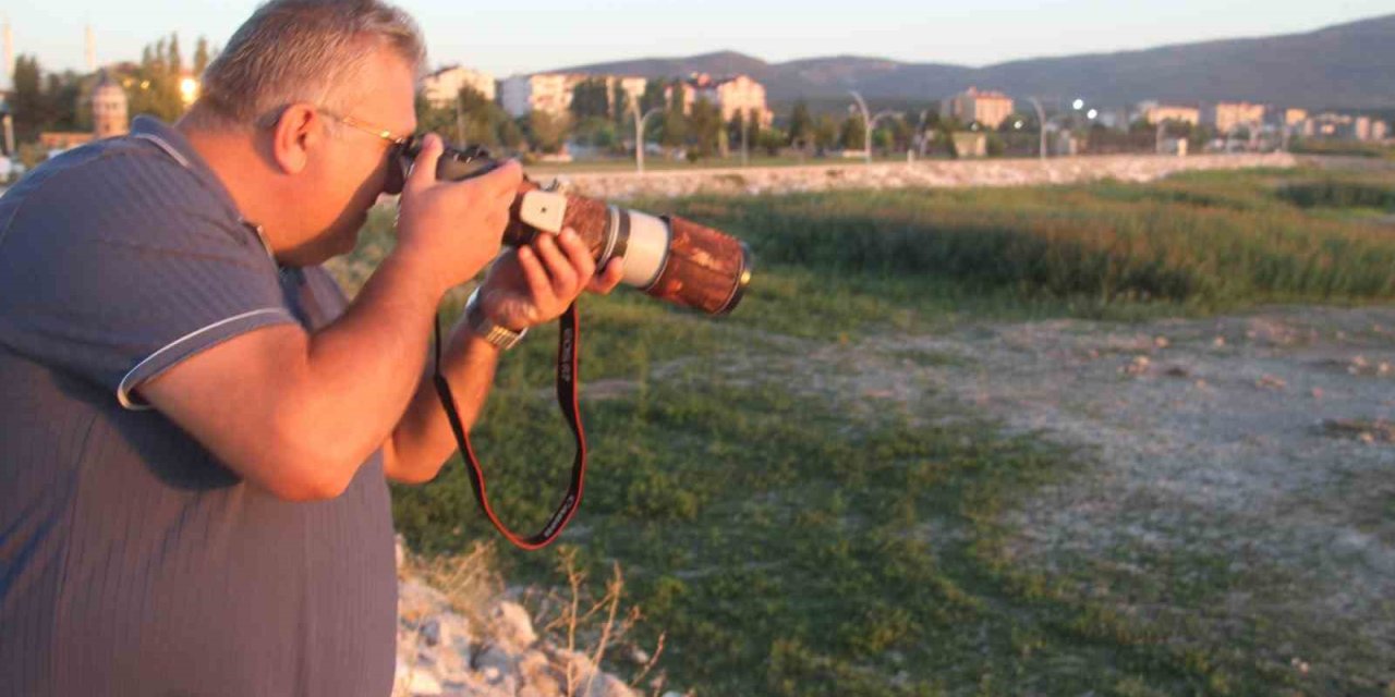 Fotoğraf Tutkunu Mali Müşavir, Kuş Fotoğrafı İçin Makinesini Yanından Ayırmıyor