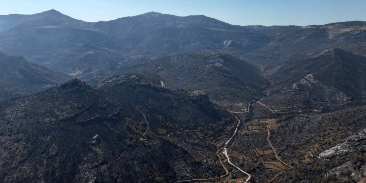 Orman Yangınından Geriye Kalan Acı Manzara: 15 Bin Dönümden Fazla Alan Küle Döndü