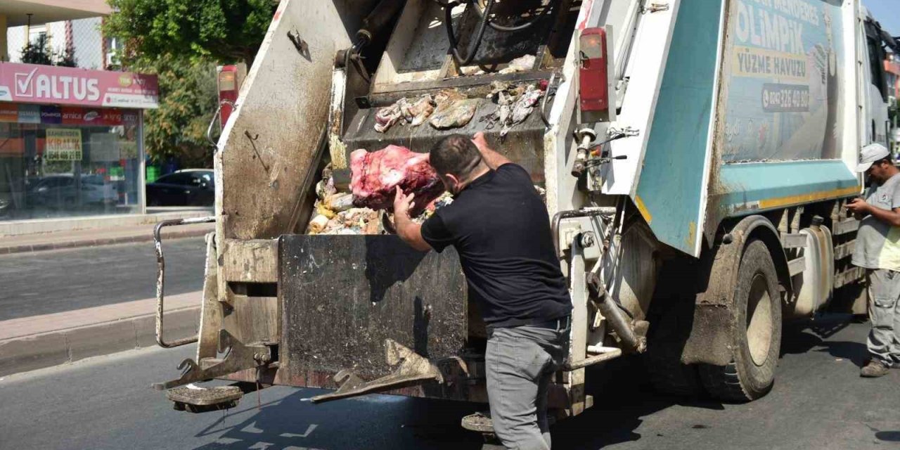 Yumurta Paketinden Hamam Böceği Yumurtaları Çıktı, Yapılan Denetimden Çıkanlar Şoke Etti