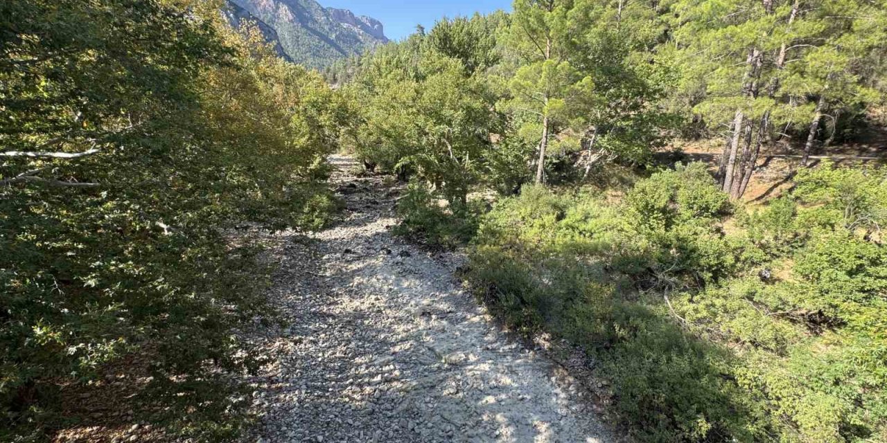 Üzümdere Irmağı Kuraklığa Yenik Düştü, Eski Halinden Eser Kalmadı