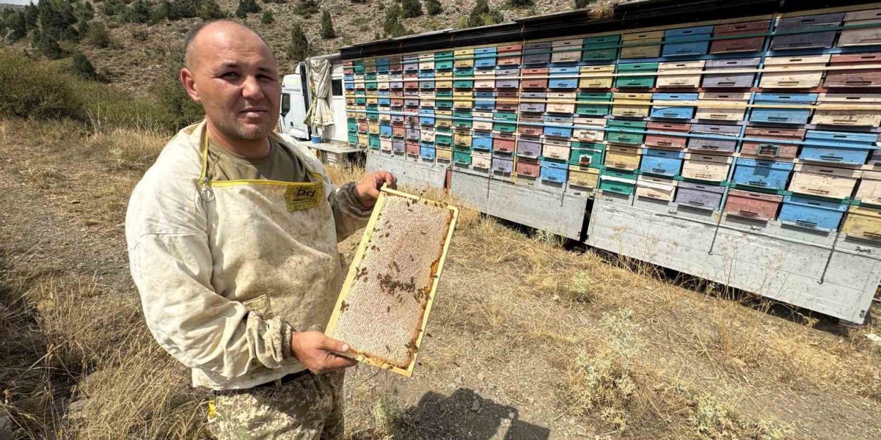 Mobil Tır İle Bal Üretiyor Kovanları İndirmeden Toros Dağları’nı Karış Karış Geziyor