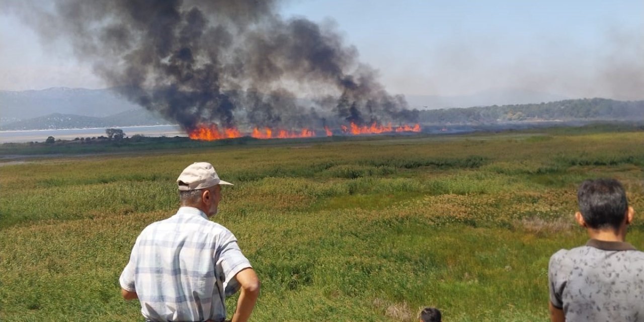Beyşehir’de Sazlık Alanda Çıkan Yangın Havadan Müdahale İle Söndürüldü