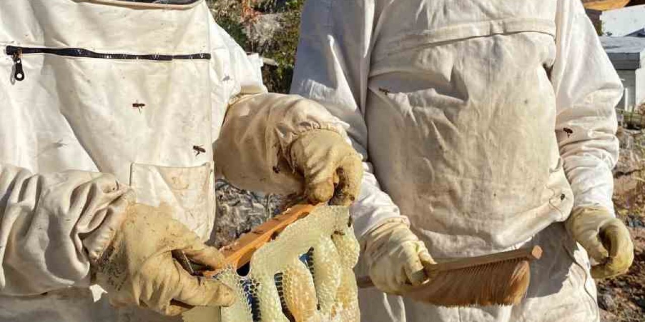 Bozkır’da Bal Hasadı Tamamlandı