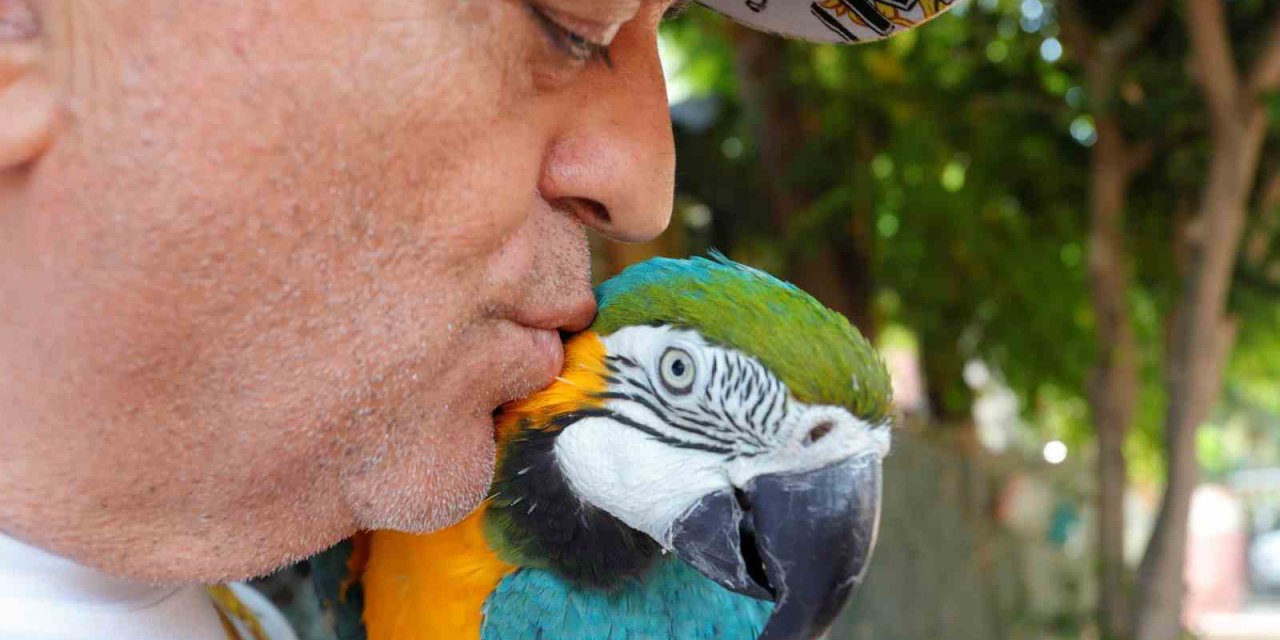 Turgut Özal’ın Kaybolan Papağanı 3 Gün Sonra Bulundu