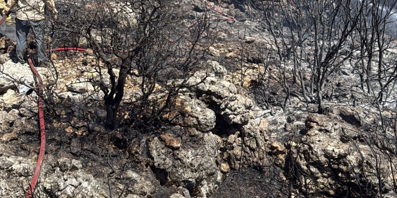 Mersin Silifke’de Yangın Ormanı Sarmadan Söndürüldü
