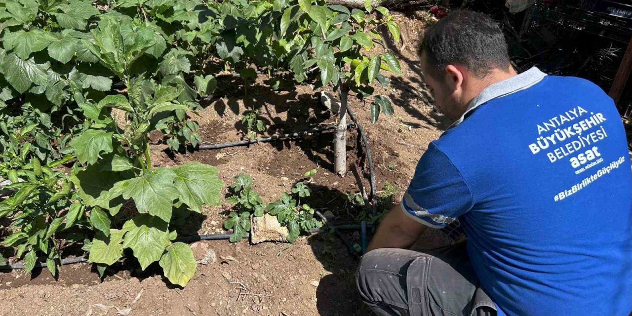 Asat’tan Usulsüz Su Kullanımına Karşı Sıkı Denetim