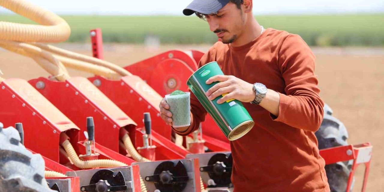 ‘kiralık Tarla’ Uygulaması Başladı, Uzmanlardan Uyarı Geldi